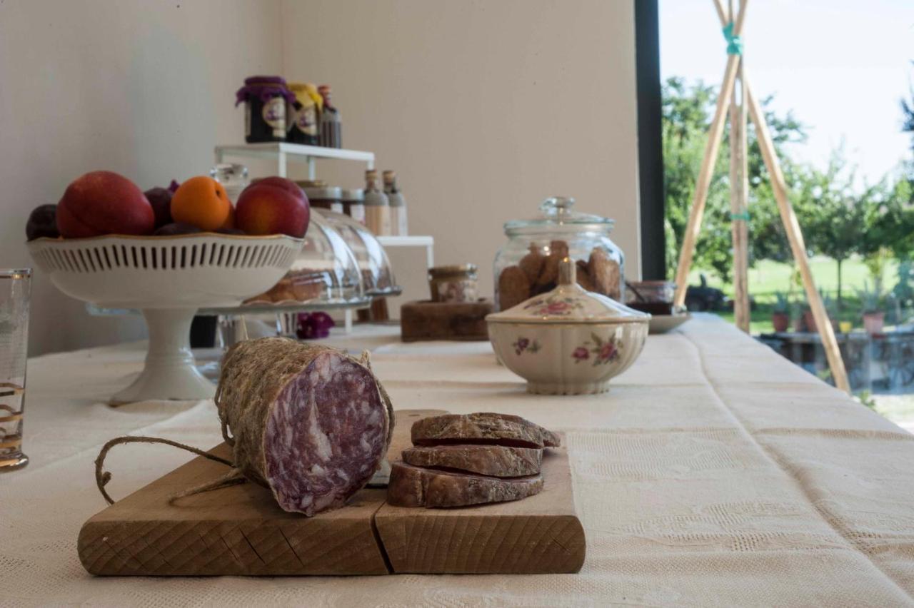 Le Ferrerie Agriturismo Fattoria Marchesini Praticello di Gattatico Exteriör bild